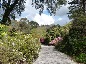 Gardens Cornwall